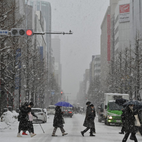 Ninsori record în nordul Japoniei, avertizări de furtună