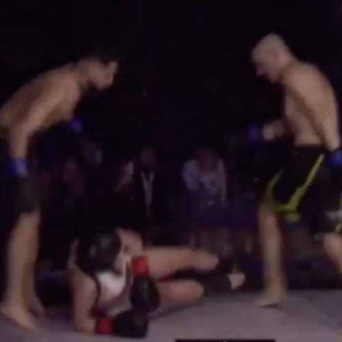 Lupta de MMA din România stârnește indignare globală