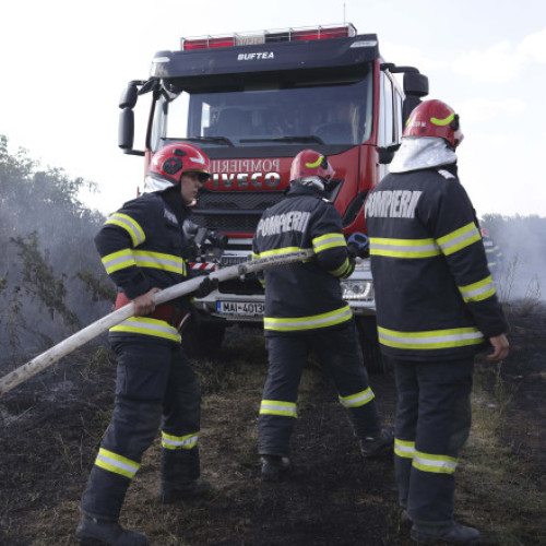 Incendiile de vegetație au afectat grav România: peste 8.000 de hectare mistuite