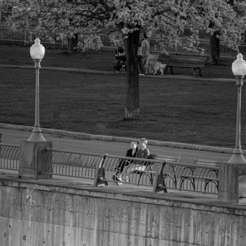 Image Description