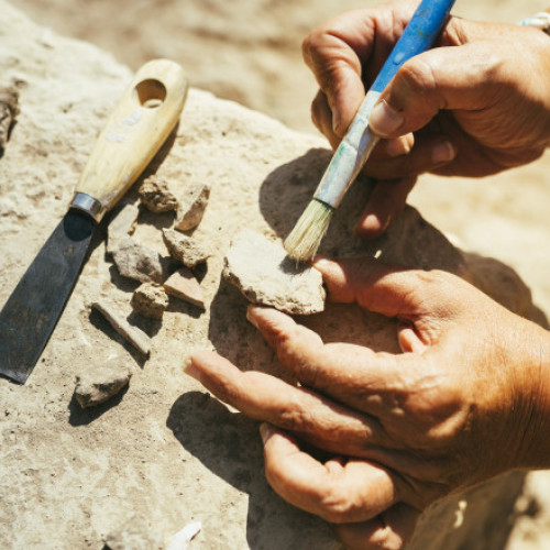 Descoperită casă în ruine care ascunde un vechi monument din secolul IV în Tulcea