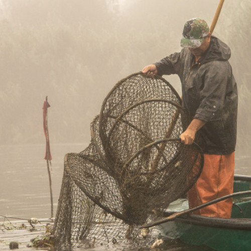 Reglementări proaspete pentru pescari în Delta Dunării