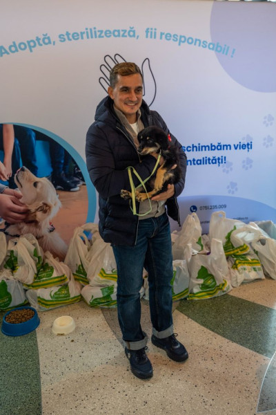 Ilfov: Adopțiile gratuite de animale au adus speranță pentru animale abandonate