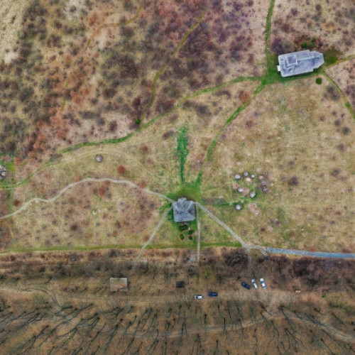 Zona pădurilor din jurul Bucureștiului inclusă în proiectul Centură Verde